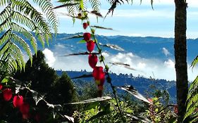 Refugio en las Nubes